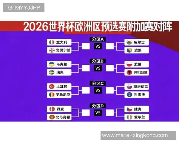 2020足球欧洲杯预选赛精彩回顾与各队表现分析